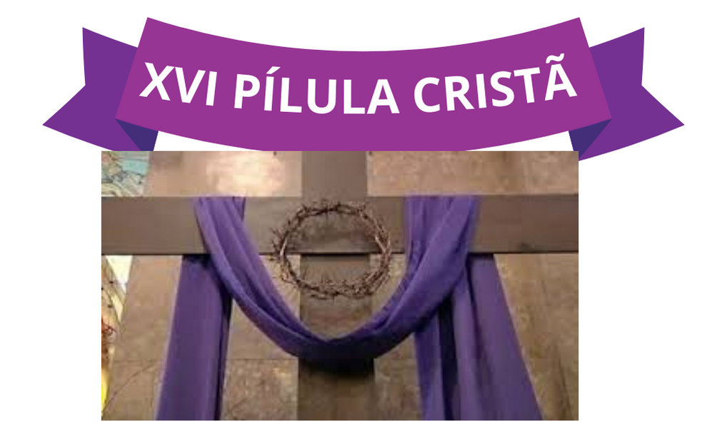 XVI PÍLULA CRISTÃ